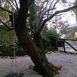 Apartament Kalliope